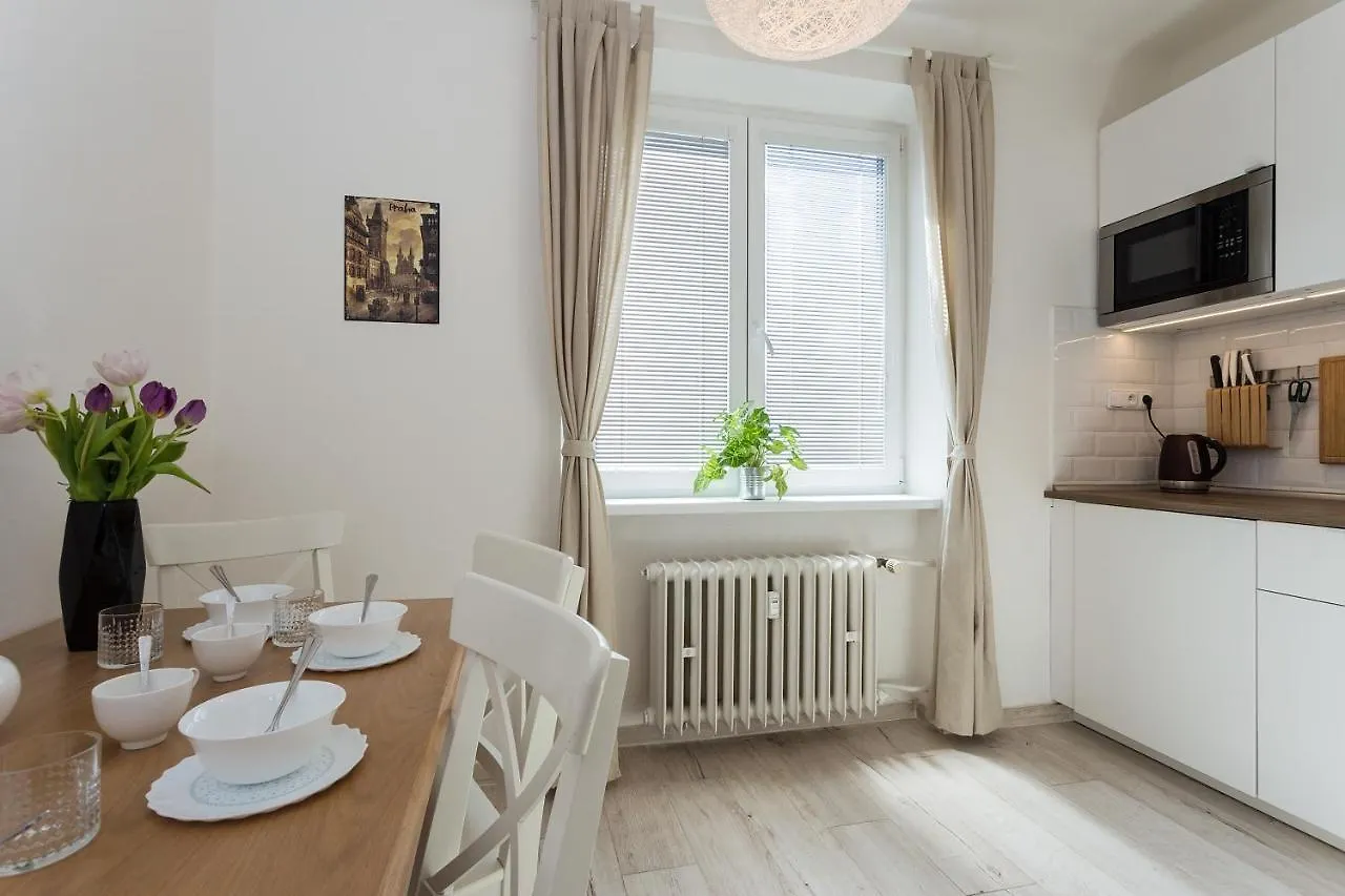 Bright Modern Apartment Praga